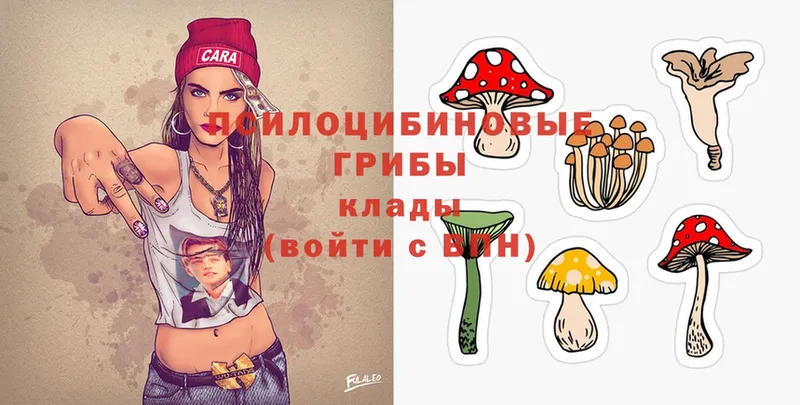 Псилоцибиновые грибы Psilocybe  Салават 